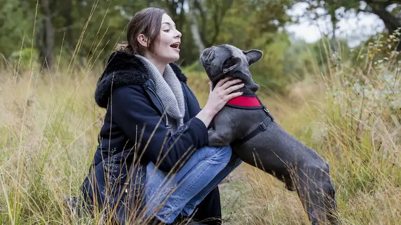 Dogs Are Even Better At Understanding Our Words Than We Thought
